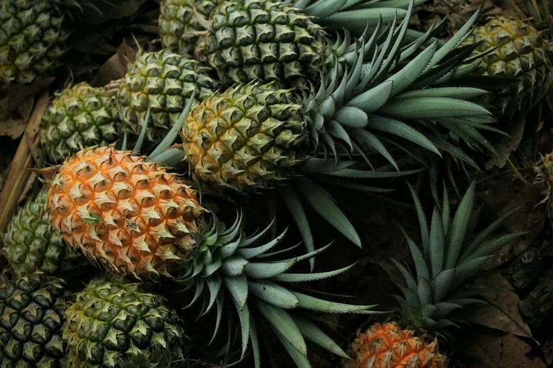 Pineapple and Soy Sauce